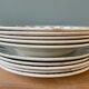 Set of 10 plates (5 flat and 5 hollow) in St Amand earthenware, Céranord