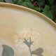 Large ancient wooden platter