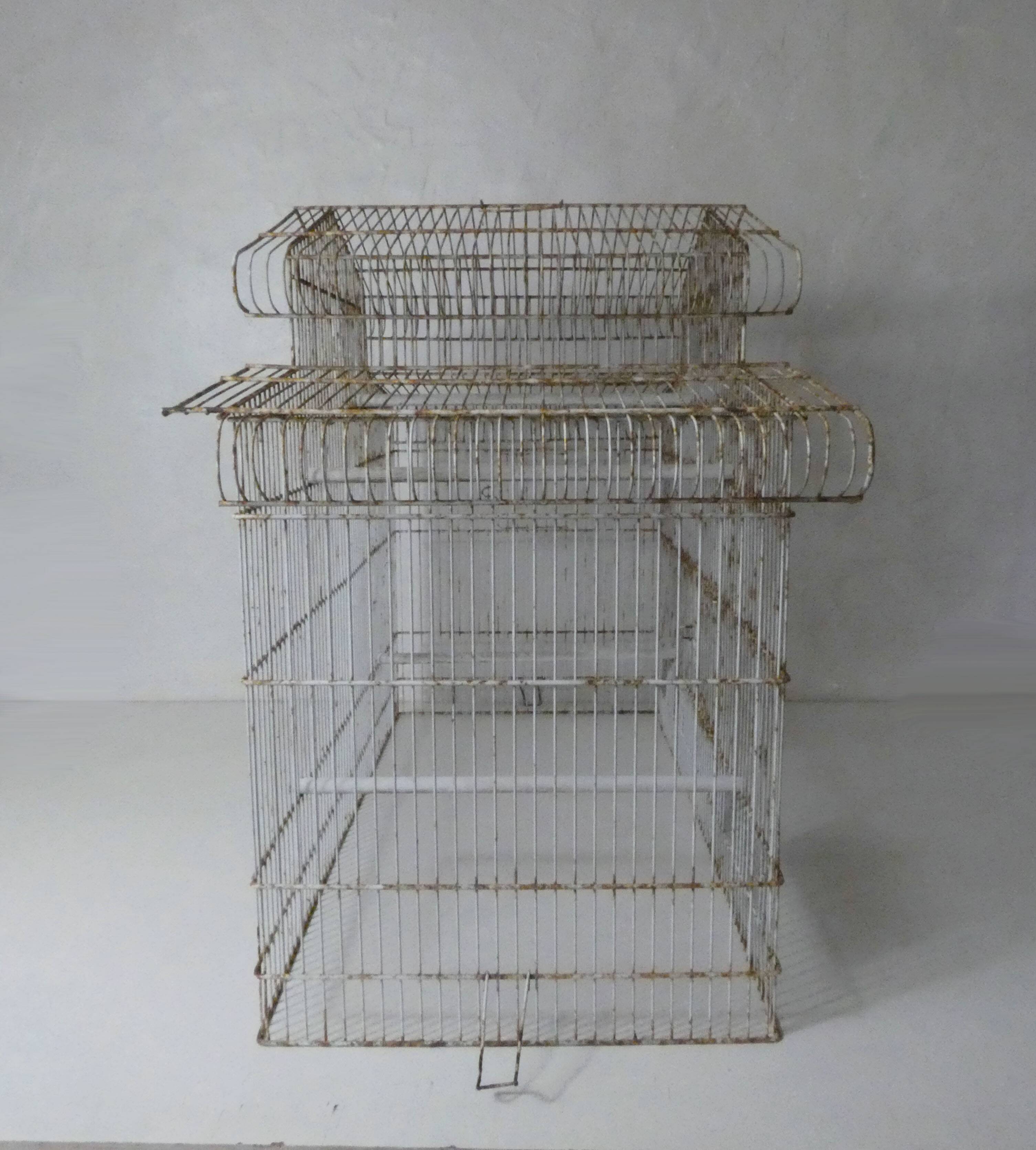 Large bird cage