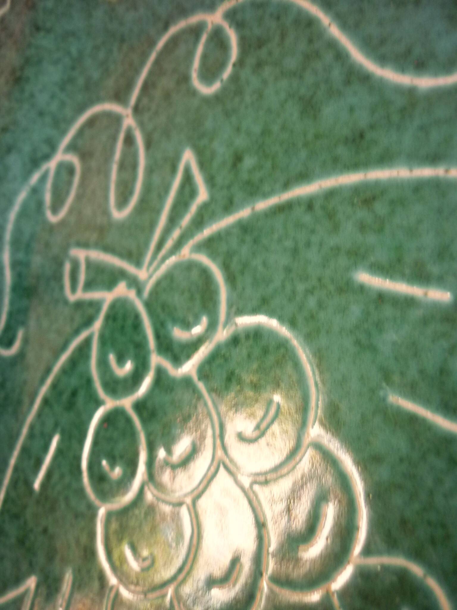 Square dish in glazed ceramic, scarified, signed Jacques Sagan Vallauris,