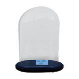 Old oval glass wedding globe 28 cm high glass bell