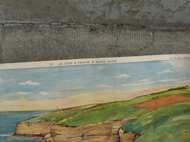Affiche scolaire Rossignol La côte à rochers et récifs d' un côté / la côte à falaise à marée basse