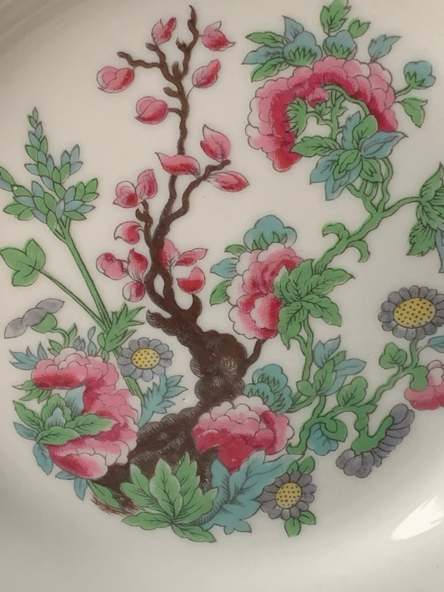 5 dessert plates Bernardaud Arbre des Indes anciennes