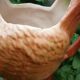 Antique jug in slipware