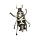 Silver insect shaped ashtray / box, France 1950s