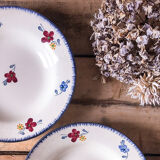 Duo of plates digoin Sarreguemines