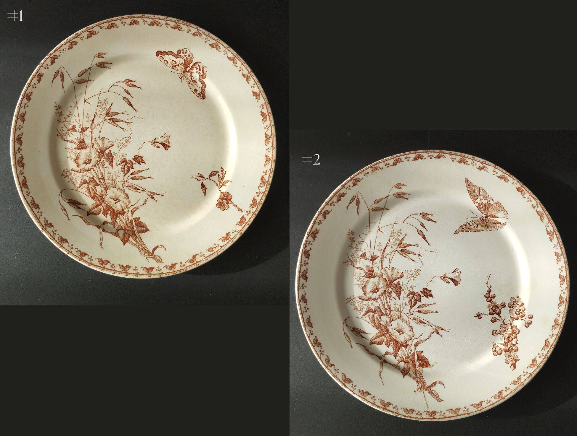 "Carmen" - Set of flat plates Ø 22.5cm ironstone Sarreguemines U&C