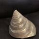 Troca shell decoration 8cm polished pearly Trocca Trochus decoration sea beach vintage old