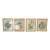 4 John Gould lithographs