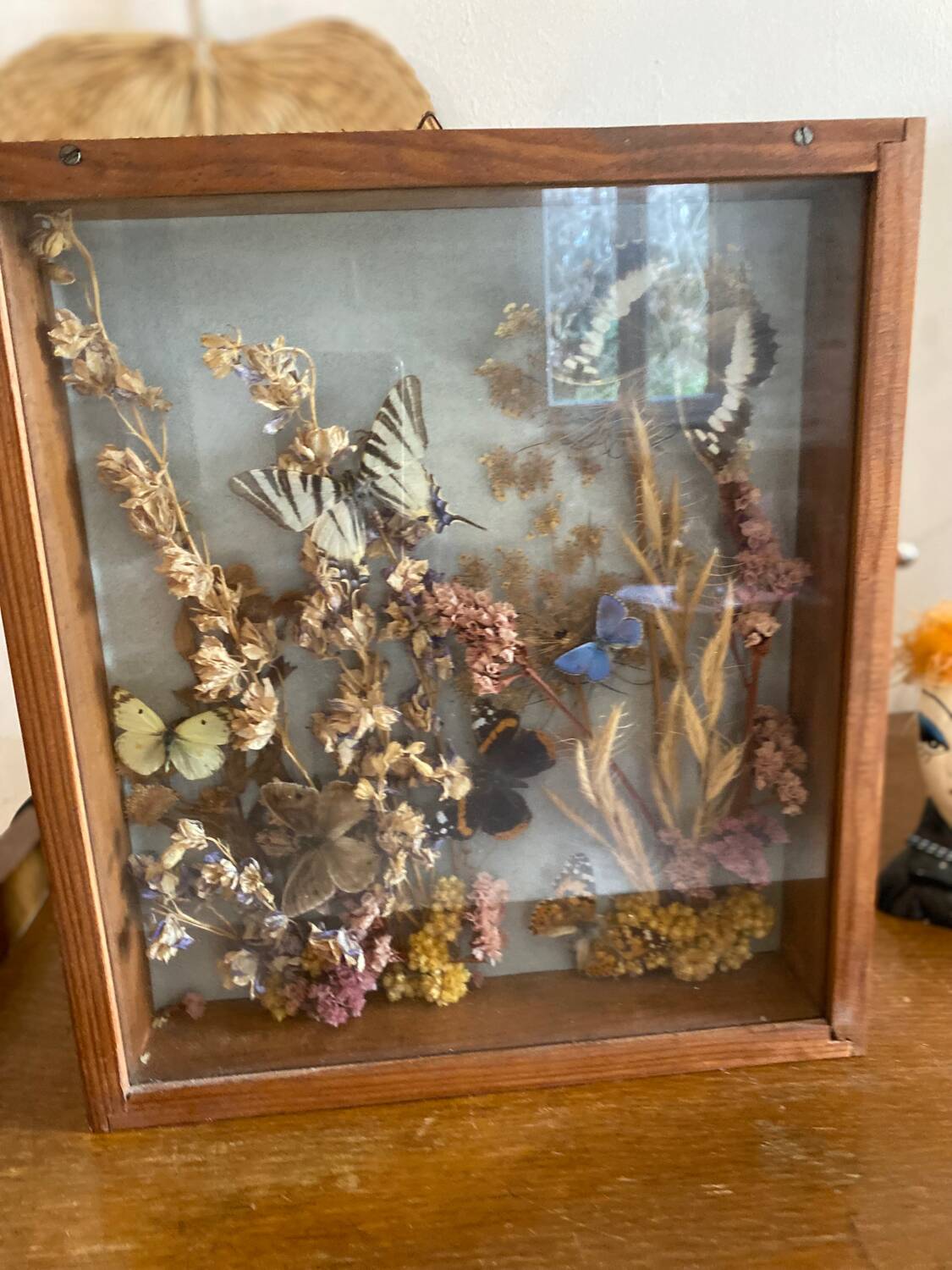 Vintage frame with butterflies and dried flowers