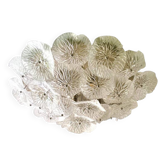 Contemporary Squared "Tronchi" in Venini Style Murano Glass Sputnik Flush Mount