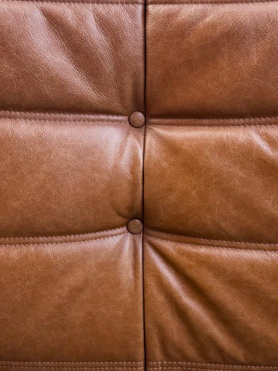 Togo Chair in Cognac Leather attributed to  Michel Ducaroy for Ligne Roset.