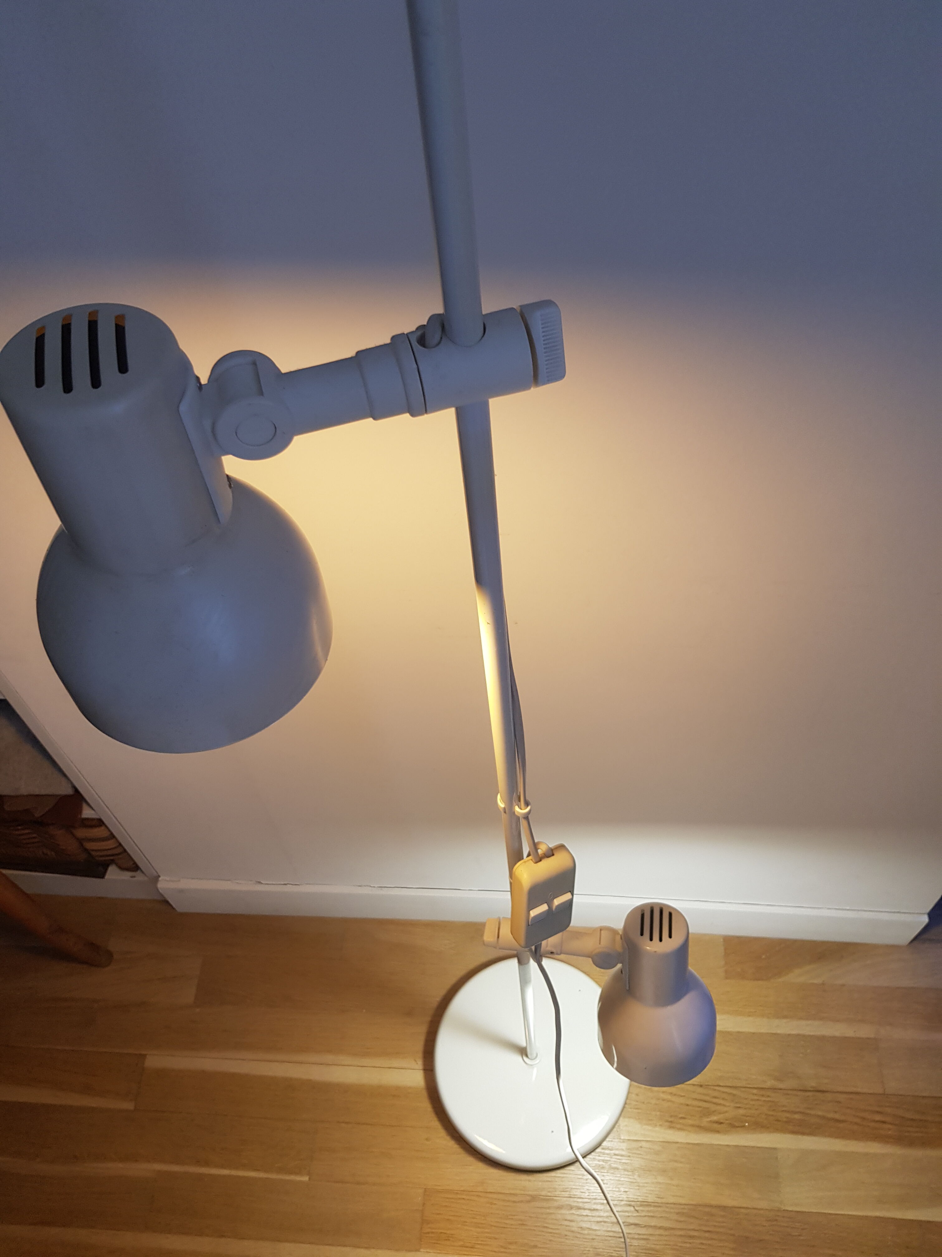 Floor lamp with 2 spots