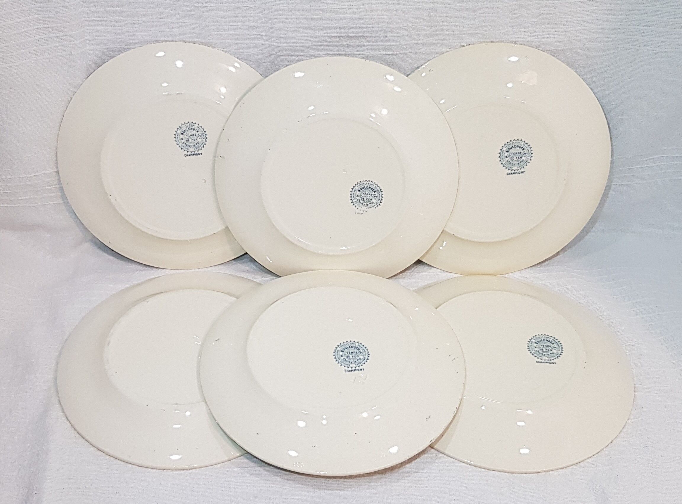 6 flat plates made of earthenware from Choisy the Champigny model King, iron earth
