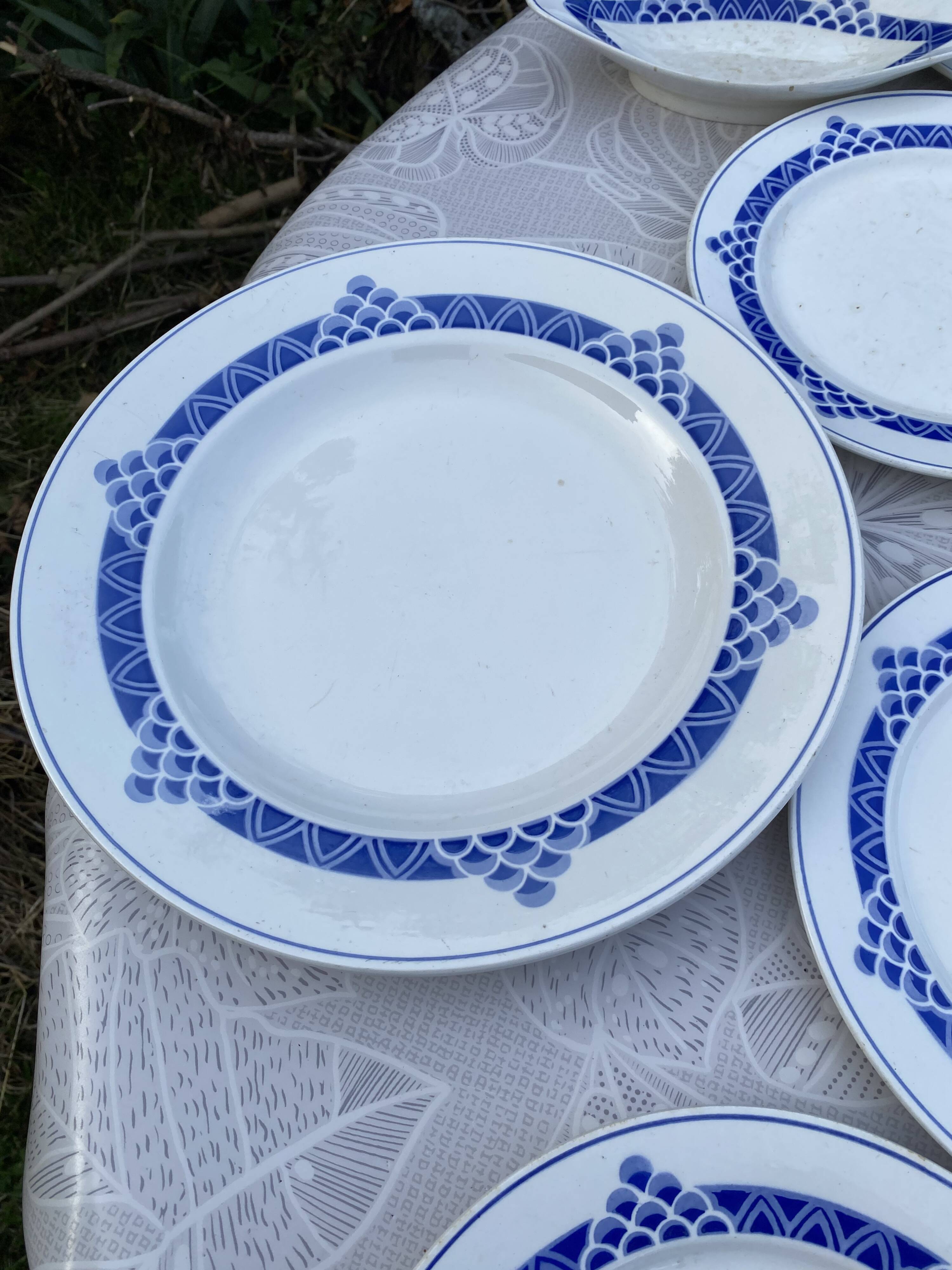 Magnifique Service de Table Vintage – Modèle "Ariège" (Digoin Sarregue