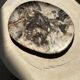 Very large pocket or dish in petrified wood