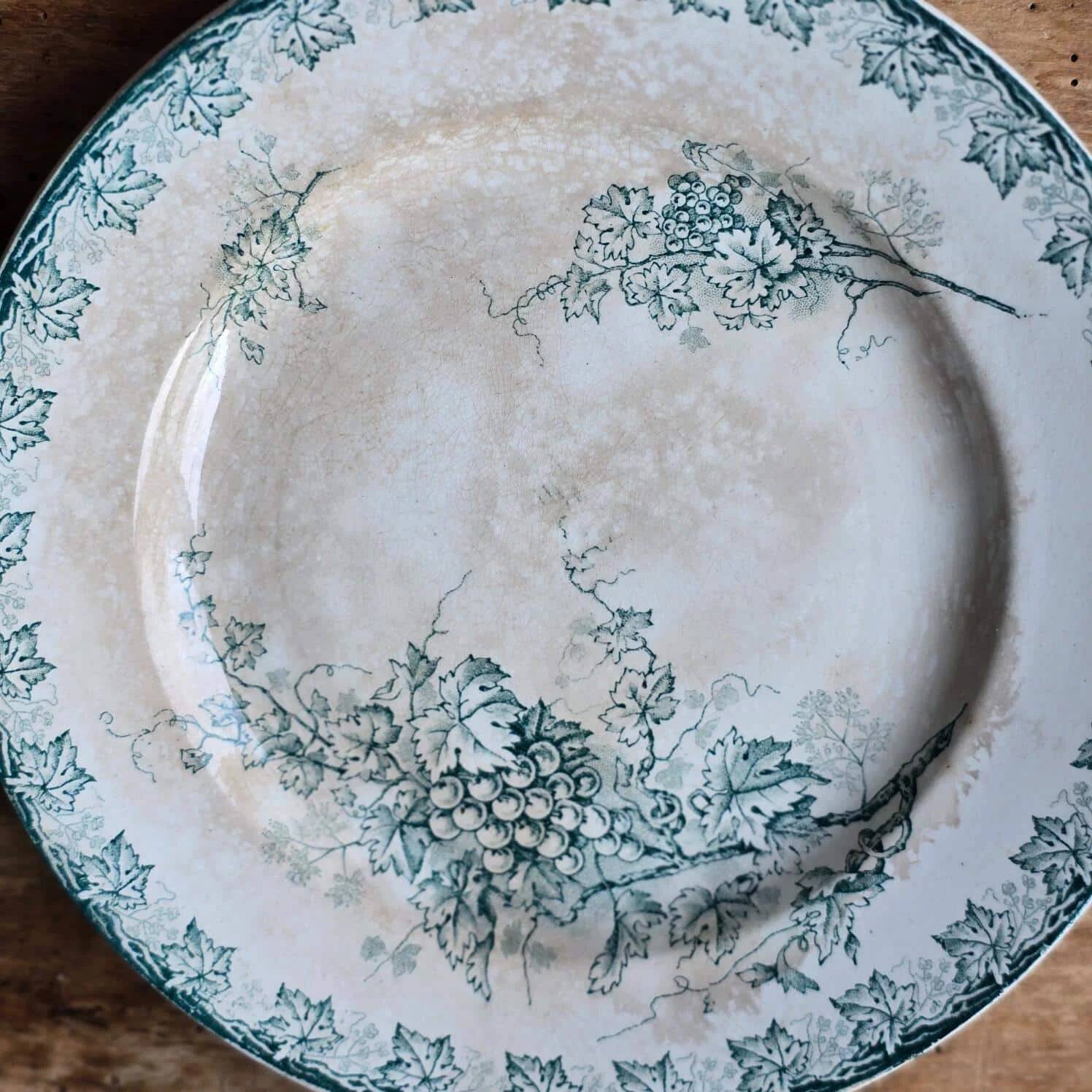 Plate plate model Grape