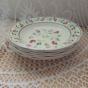 6 Digoin and Sarreguemines soup plates