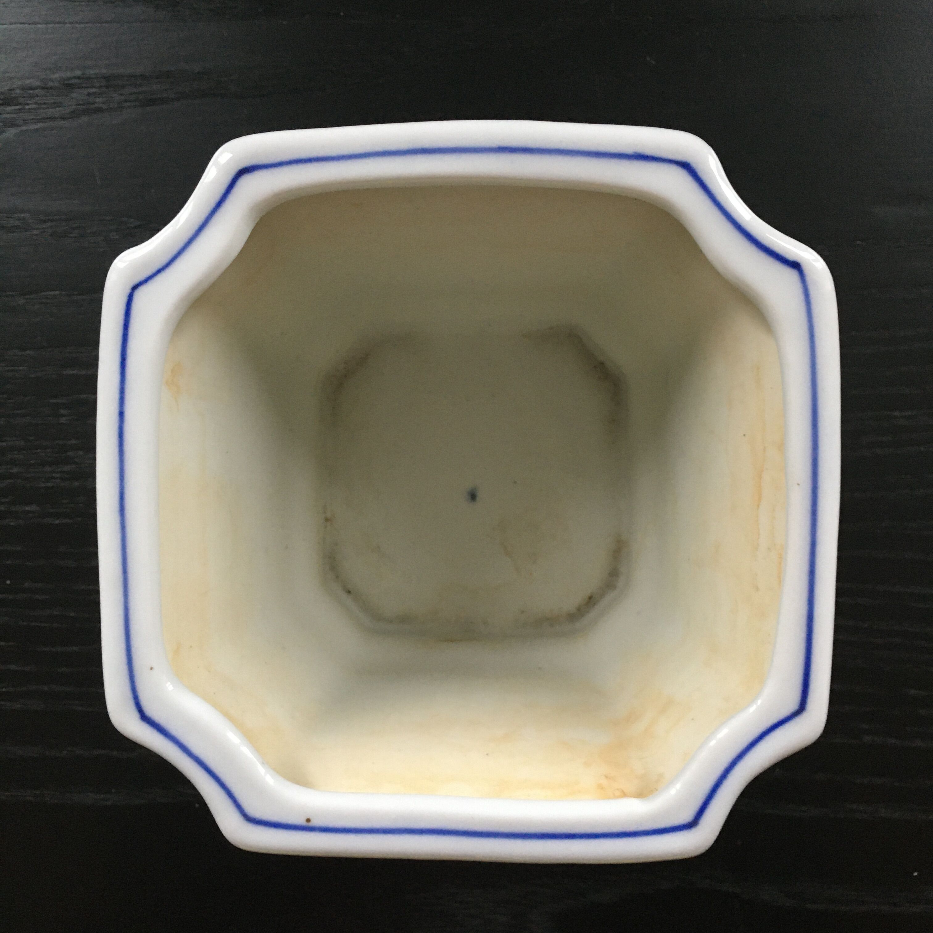 Blue iris pot cache.