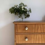 Vintage Scandinavian design commode from the 1950s.