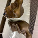 Art Deco bookends pair from Rodin's The Thinker