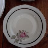 Limoges porcelain dessert service