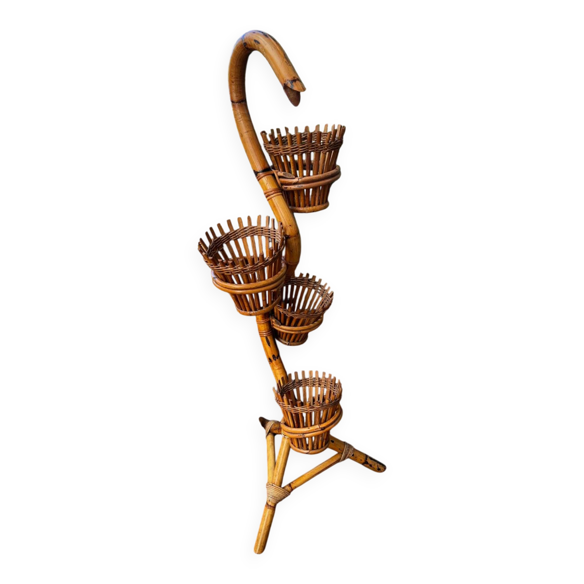 Rattan cobra plant holder