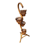 Rattan cobra plant holder
