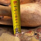 Large Carved Wooden Hand - 1950s