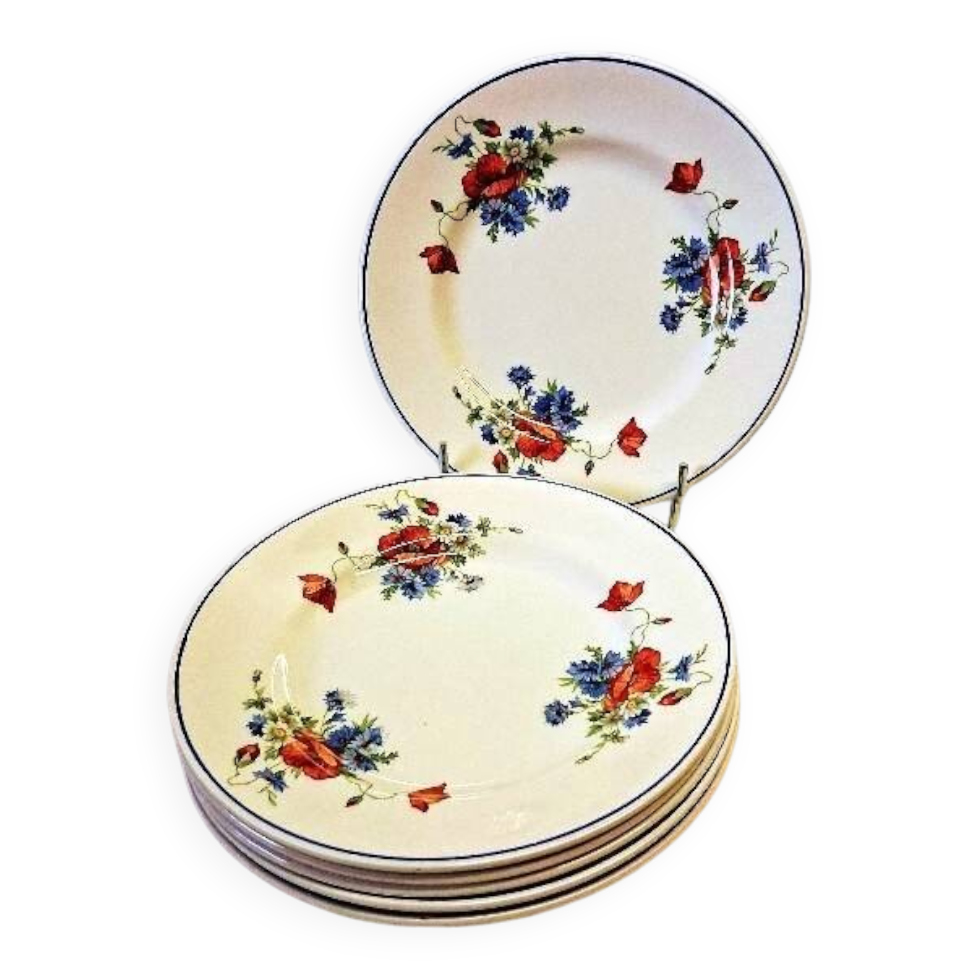 6 flat plates from Salins les Bains, "Poppies" pattern, in very good condition
