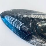 Vide poche marbre et orthoceras