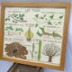 Educational and school poster