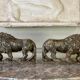 Pair of Medici lions in alabaster, Italy 19th century