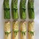Set of 8 ceramic asparagus knife holders