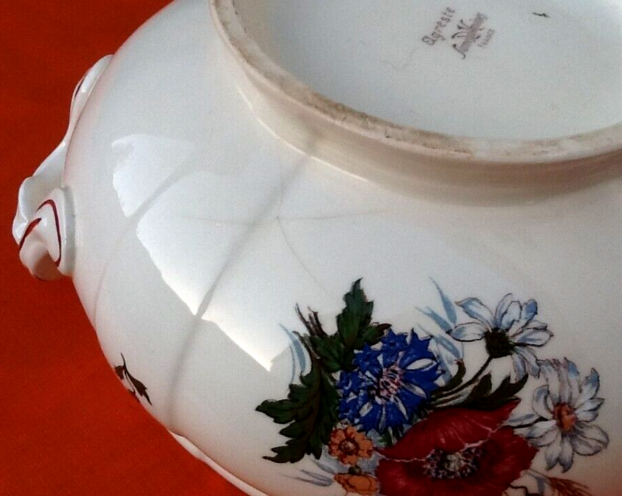 Souptureen (large model) Model Agreste Faïence Sarreguemines France
