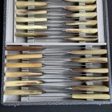 Box of 12 large and 12 small horn handle knives – Art Deco