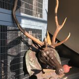 Hunting Trophy