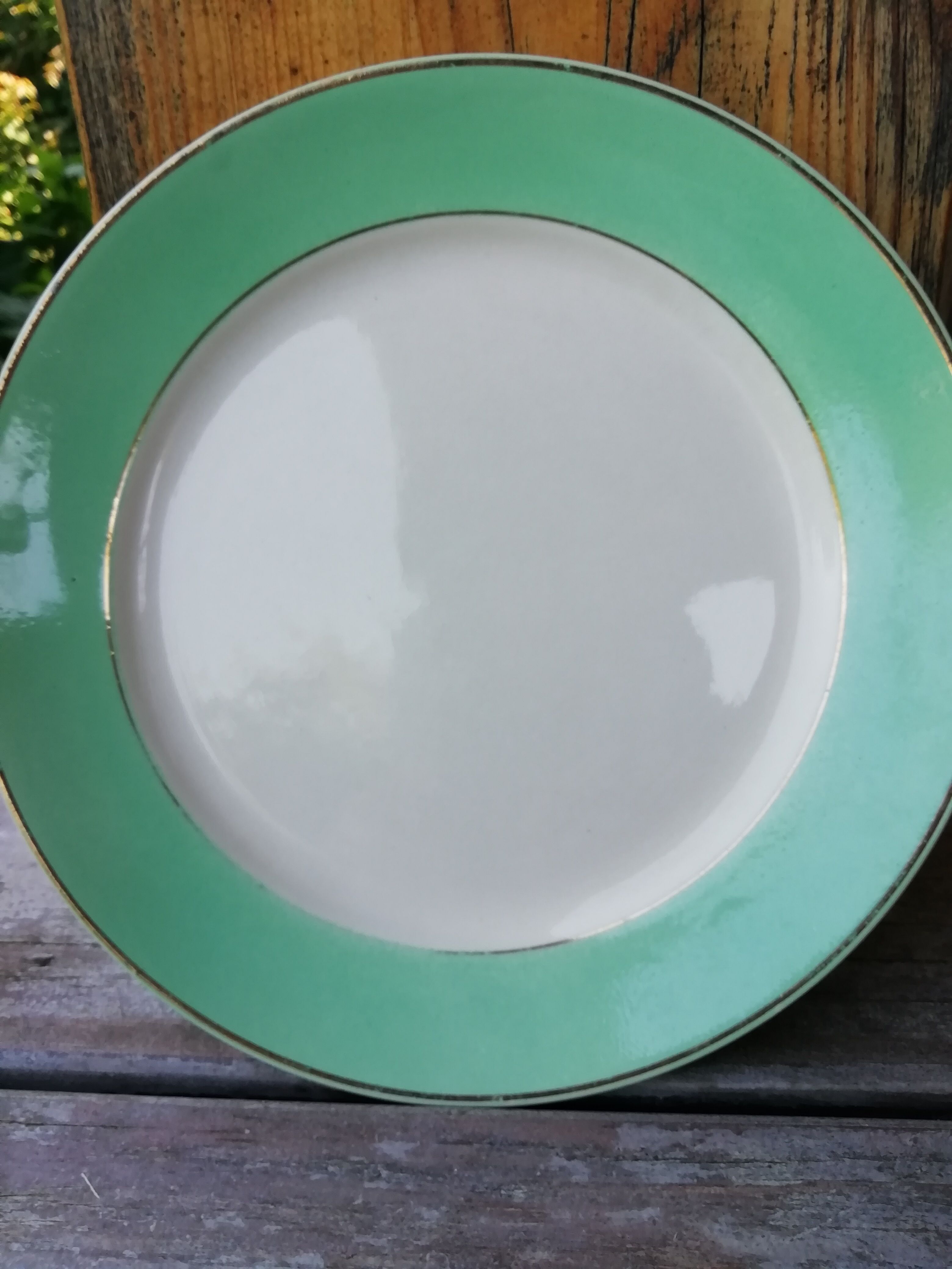 Set of flat plates mint green edge