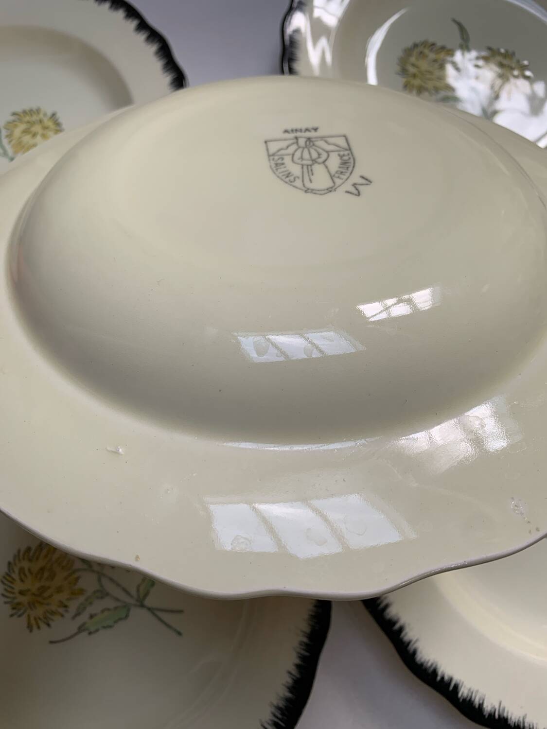 Salins France plates
