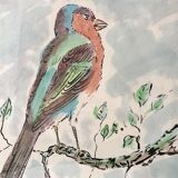 Watercolor bird Pinson signed vintage