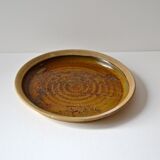 Dish