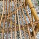 Fauteuil en rotin vintage