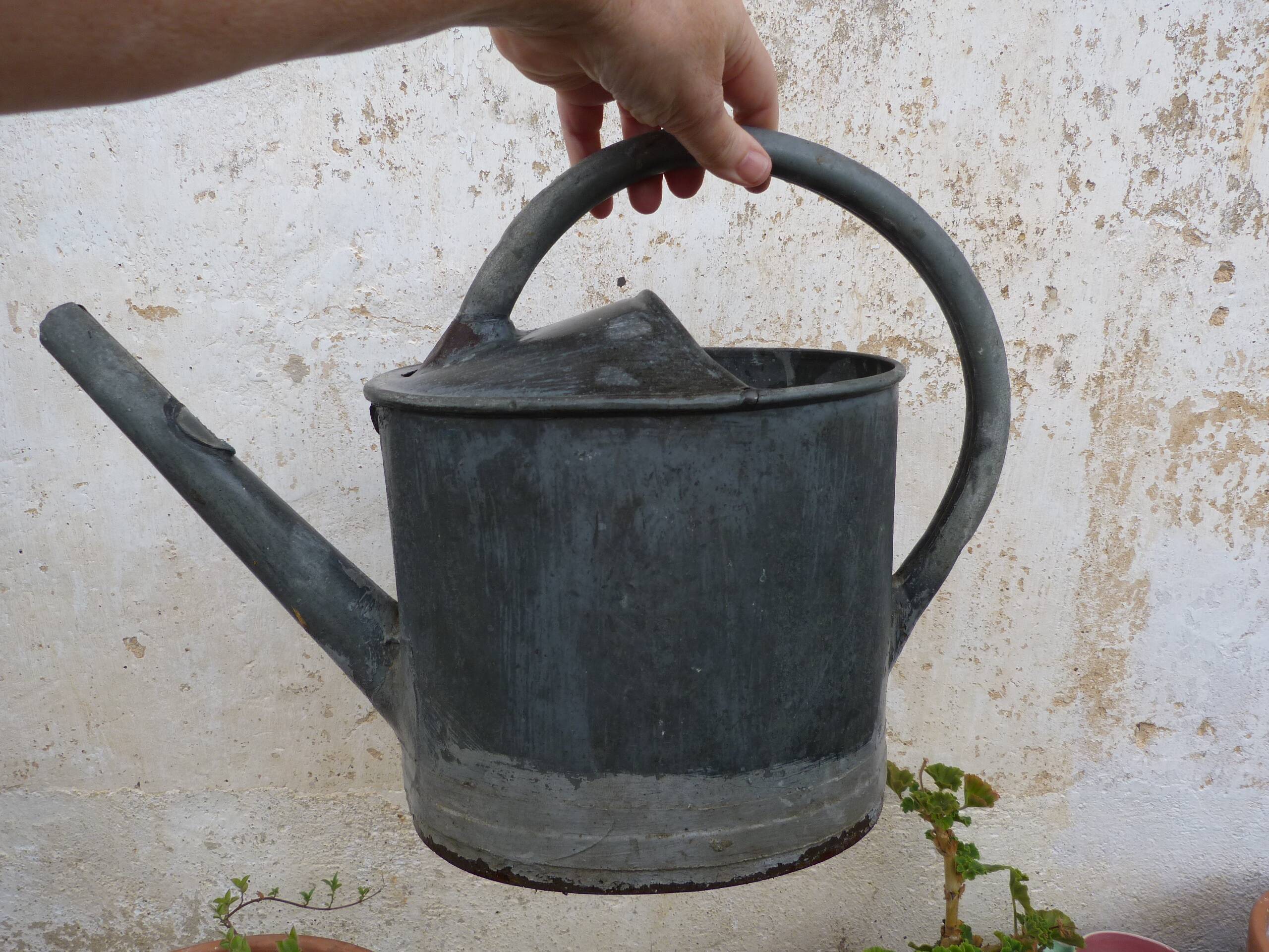 Old small zinc watering can