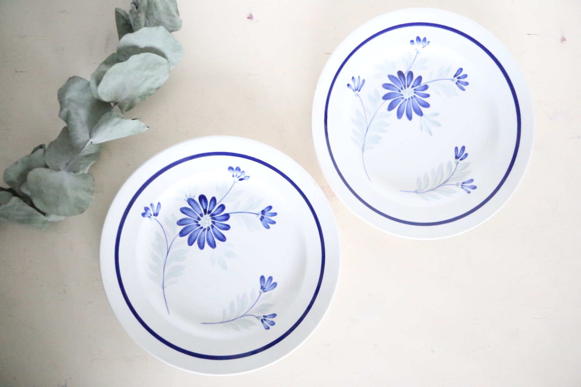 Dessert plates x 5, Saint Amand, hand-painted pattern, floral, French manufacture, vintage