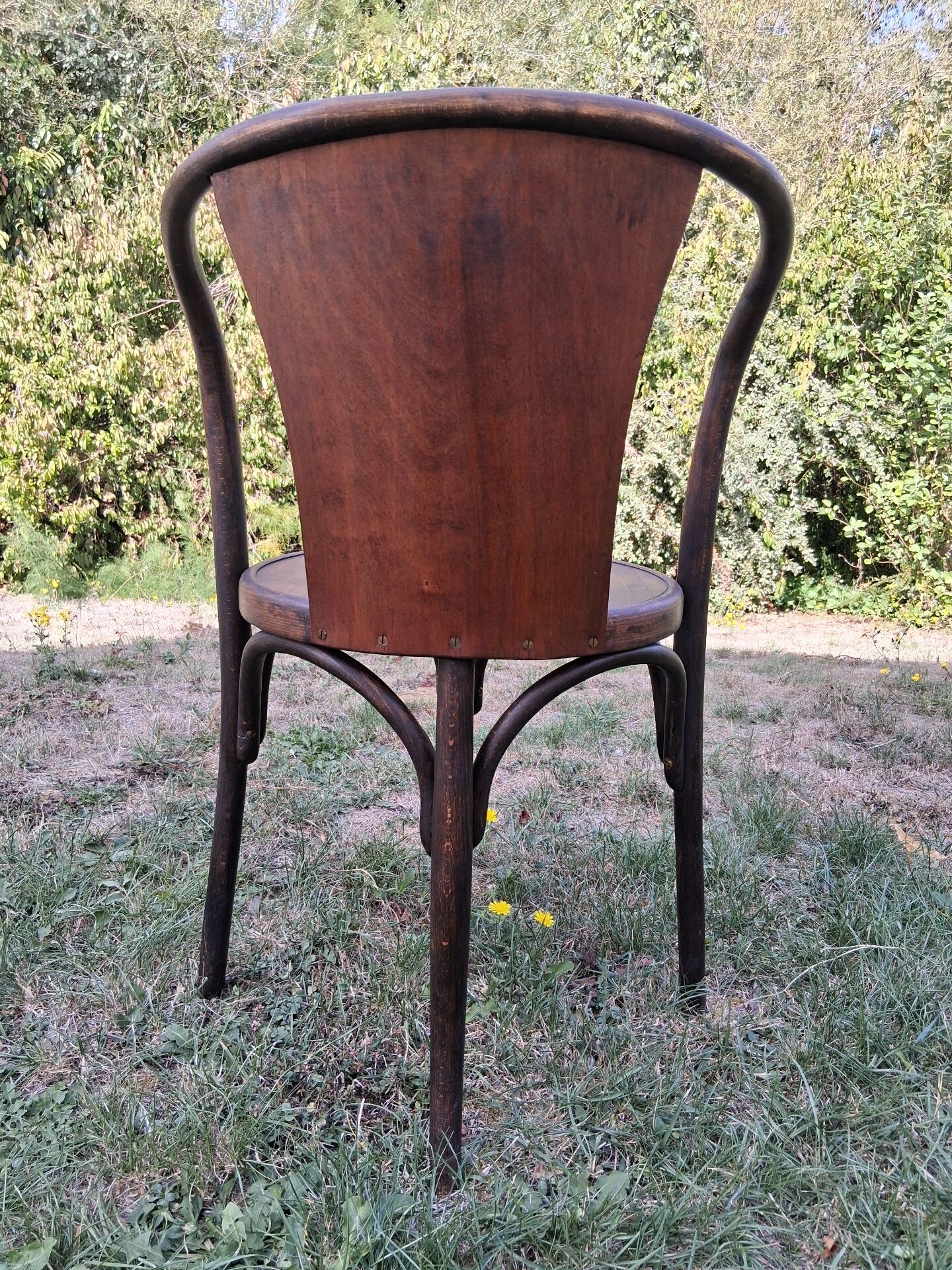 Fauteuil fischel 