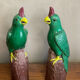 Pair of parrots