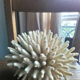 Ancient white coral bouquet