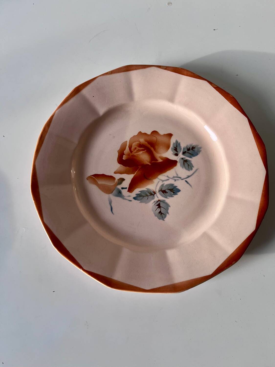 Set of 2 antique Sarreguemines earthenware plates with floral decoration