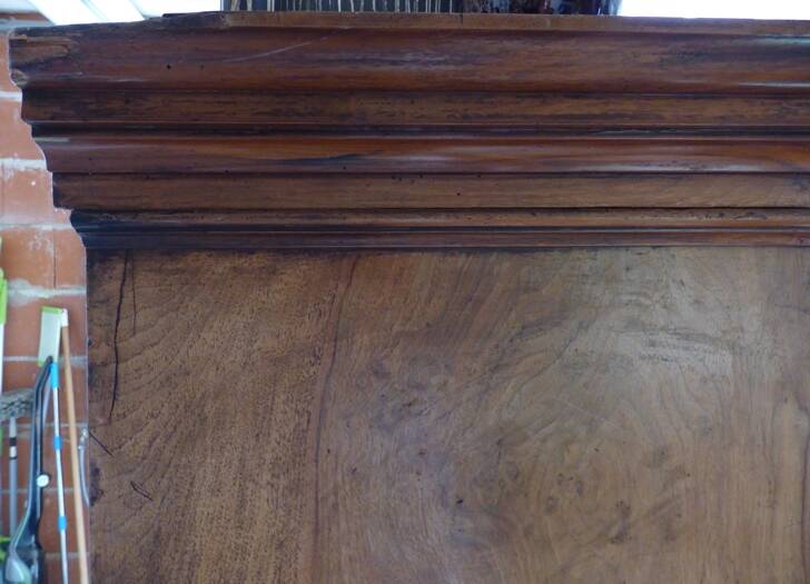 Walnut and walnut veneer display case 1 door circa 1900