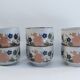 Set of 6 tea cups vintage floral patterns